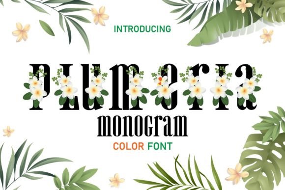Plumeria Monogram: A Font That Captures Summer